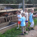 Children