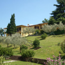 Panoramic